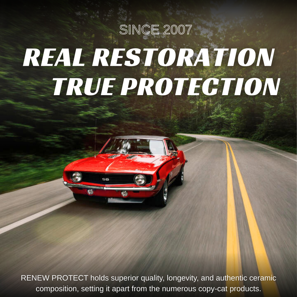 DASH Permanent Interior Protectant & Dash Repair