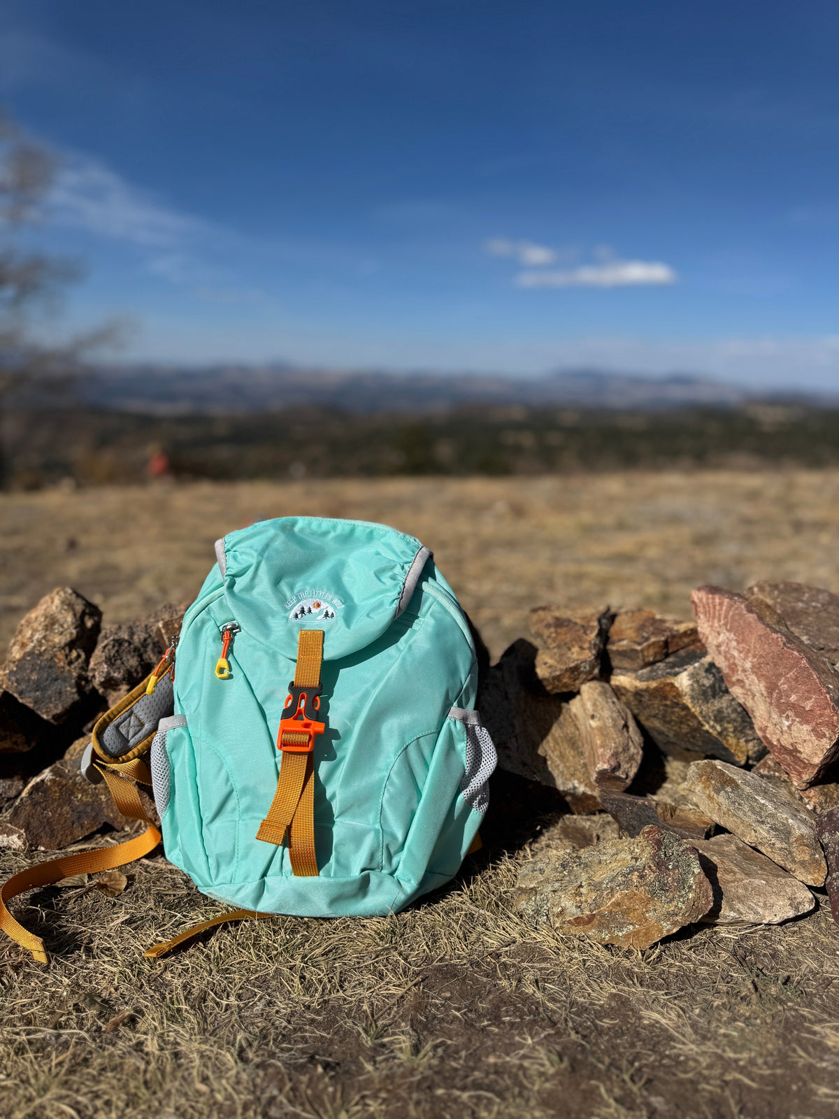 Kids' Hiking Pack, Light Blue (Ages 2–7)