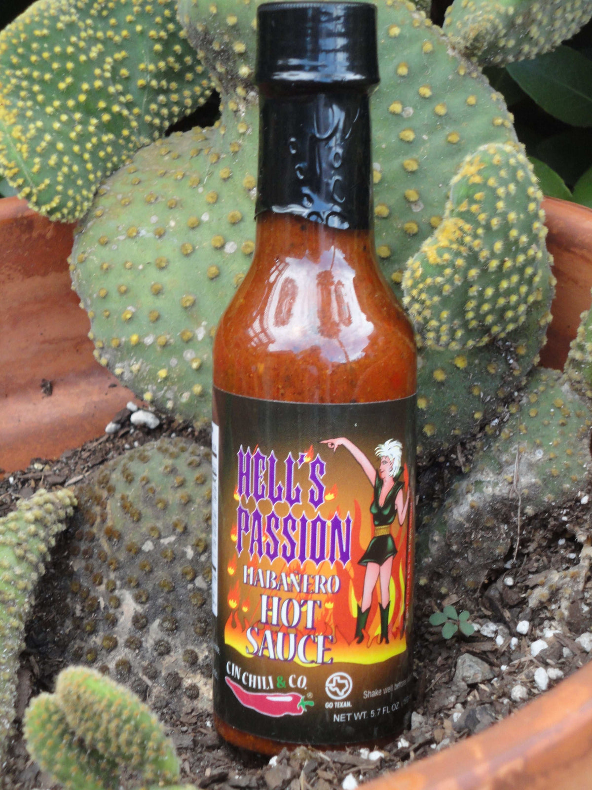 Anthony's Pack – Cin Chili's First 5 Hot Sauces