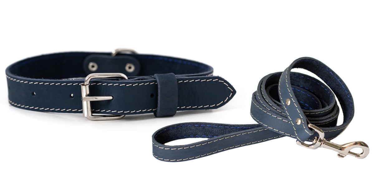 Pro Line Hunting Leather Collar and Leash Set