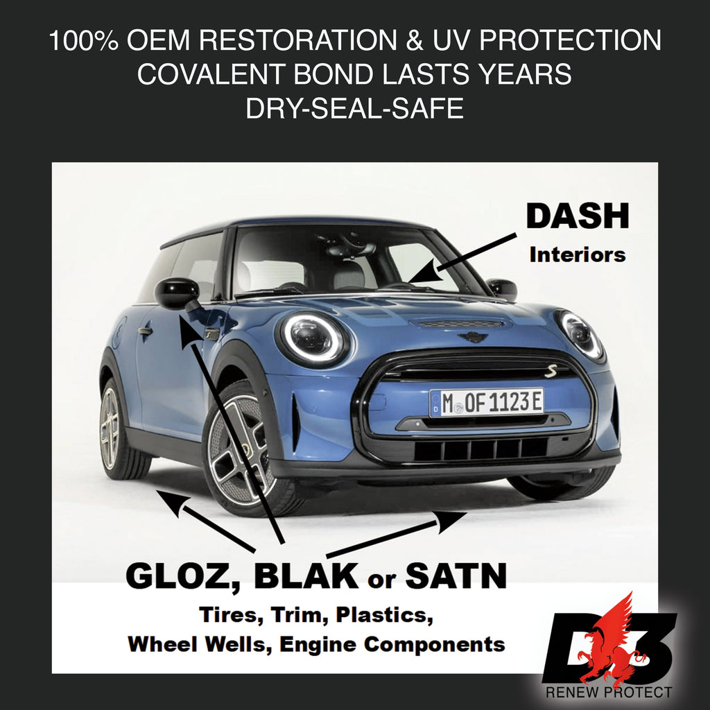 DASH Permanent Interior Protectant & Dash Repair
