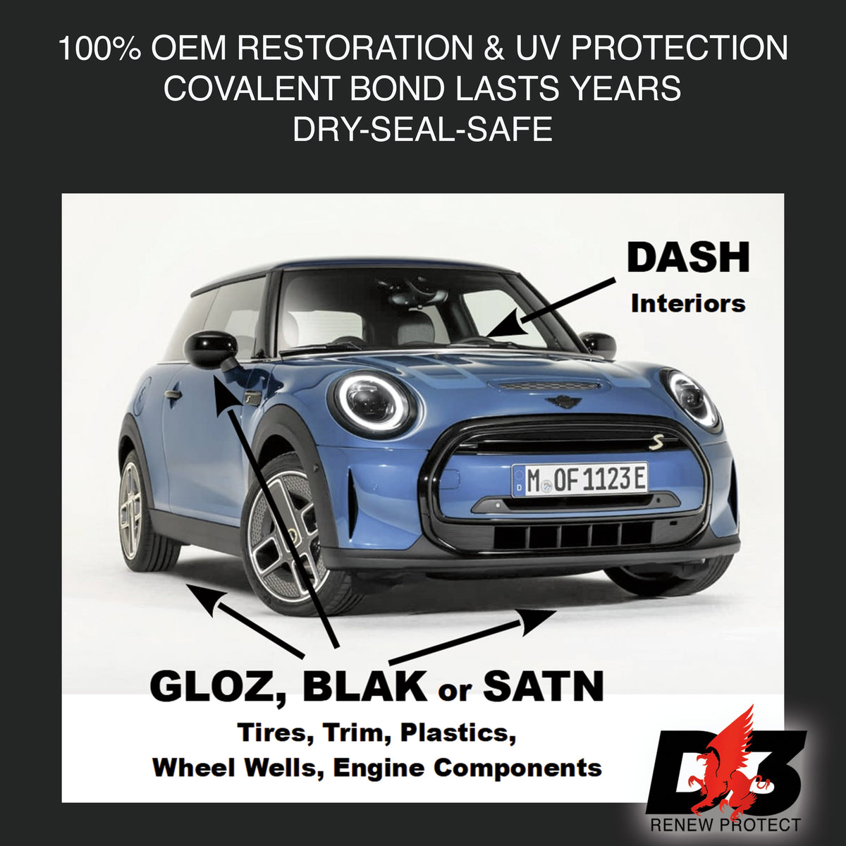 DASH Permanent Interior Protectant & Dash Repair