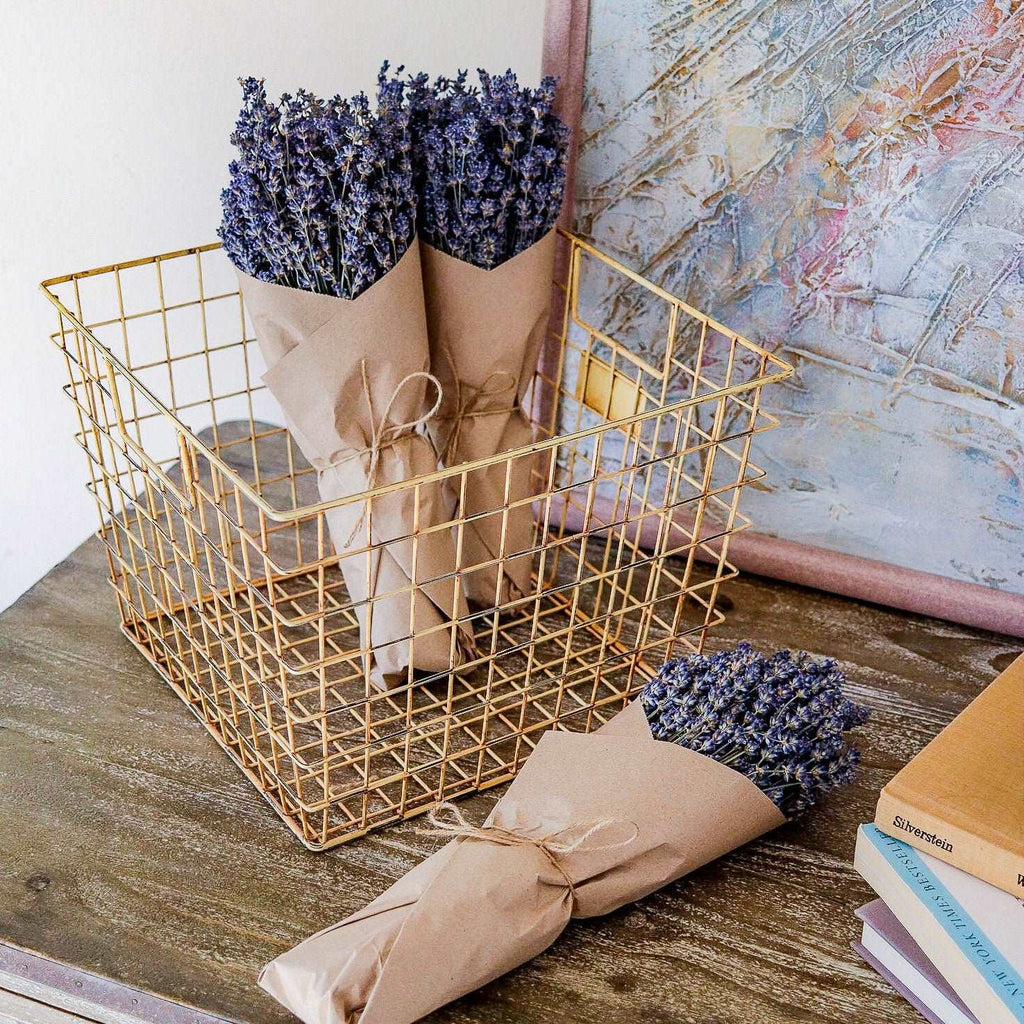 Dried California Lavender Bundle