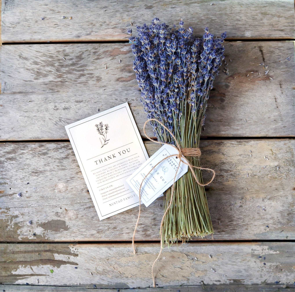 Dried California Lavender Bundle