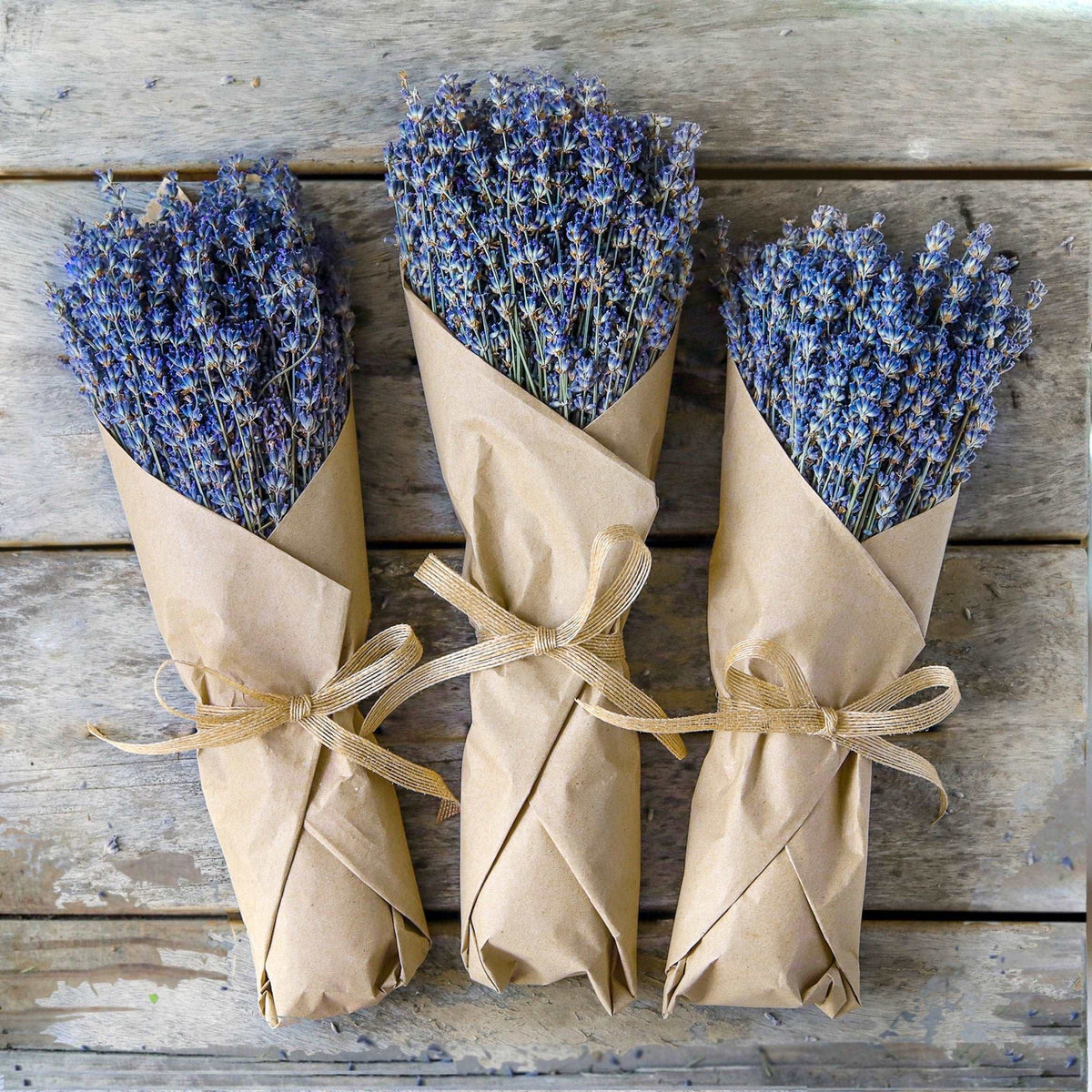 Dried California Lavender Bundle