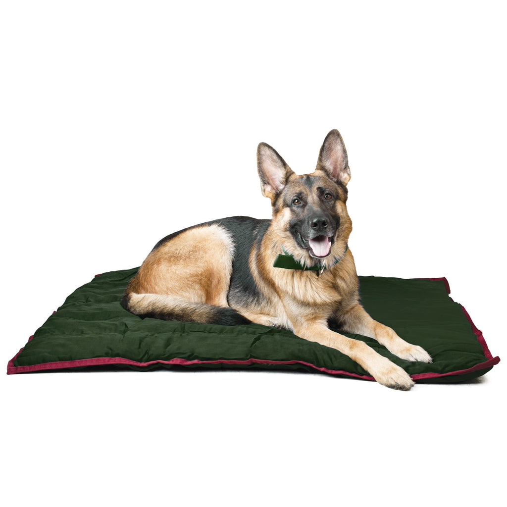 Jeffers Pet Washable Comfy Dog Pillow for Crates, Carriers, or Lounging